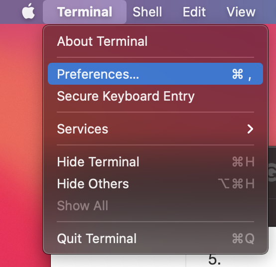 macOS Terminal Preferences Menu